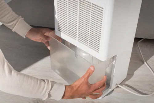 Photo of a person emptying the tray of water from a dehumidifier.